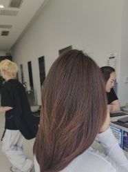 -世田造型