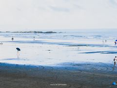-台山黑沙湾海浴场