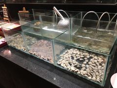 水产区-源·咖啡自助餐厅·海鲜·烧烤·三文鱼(海口华彩洲际酒店)