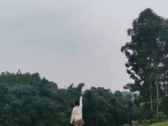-空港花田景区