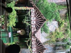 -西双版纳原始森林公园