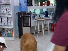 -纳吉亚猫专科动物医院·北北分院