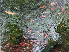 -水磨沟公园