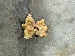 -蔡社牛肉城(龙湖店)