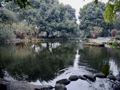-成都市活水公园