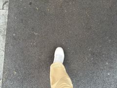 -大亮烤羊腿烤全羊(辣街店)