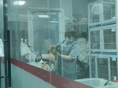-宠物家(大兴旧宫店)