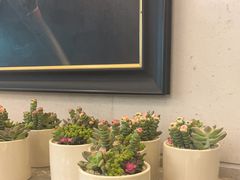 -美心·翠园(港汇恒隆广场店)