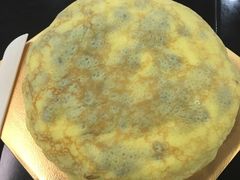 -维尔纳斯·生日蛋糕动物奶油冰淇淋蛋糕(人大店)