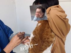-灵美宠物诊所