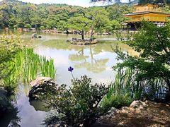 -豆政(金閣寺境内売店)
