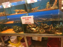 -真浪花园海鲜餐馆