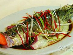 -庆岭迎宾园正宗活鱼馆