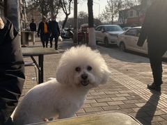 -杨凌蘸水面(建章路店)