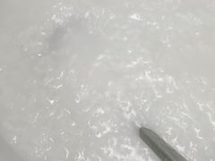 -嘉兴盐焗鸡(义龙路店)
