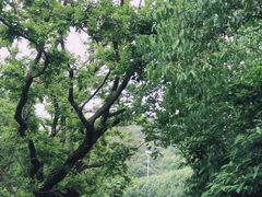 -舟山嵊泗列岛风景名胜区