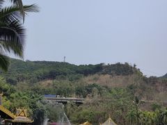 -西双版纳原始森林公园