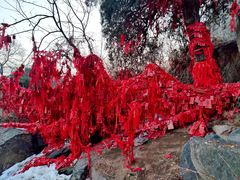 -泰山风景名胜区