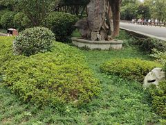 -普陀山风景名胜区-法雨禅寺