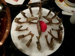 基围虾-锦官会