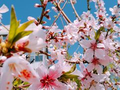 -中关村生命科学园