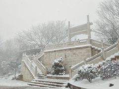 -紫金山山顶公园