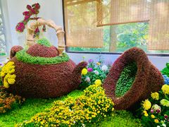 -杭州植物园