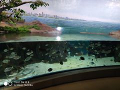 -福州罗源湾海洋世界旅游区