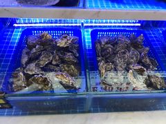 水产区-悦海·家宴·冰花皮皮虾大锅贴(宝龙店)