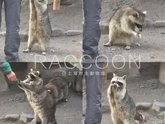 -野生动物园-停车场