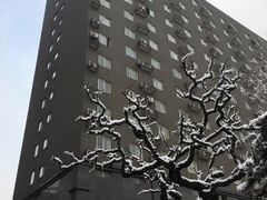 -中央民族大学