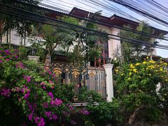 -Jungle Kitchen