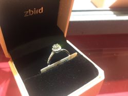 -Zbird钻石小鸟·钻戒婚戒定制高端珠宝私人定制中心