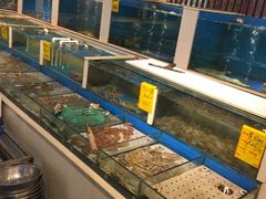 水产区-北塘海鲜·天津菜(大光明桥旗舰店)