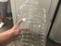 -1点点(河南中路店)