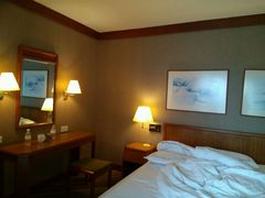 -新加坡瑞士史丹福酒店