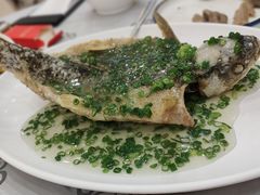 -岭南海晏楼(东晓南店)