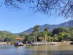 -深圳仙湖植物园