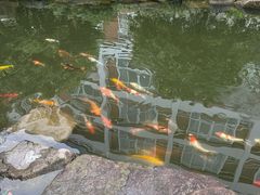 -杭州电子科技大学(下沙校区)