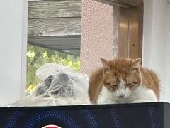 -珊珊小笼馆(仙霞路店)