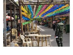 -亲兄弟真人CS团建拓展基地