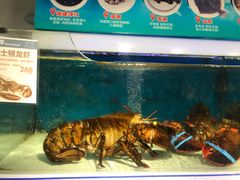 -盒马鲜生(岭南新世界店)