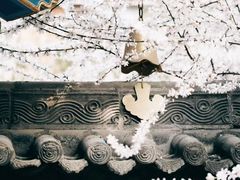 -西安市广仁寺