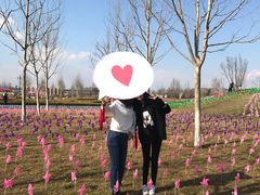 -大兴滨河森林公园