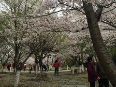 -江南大学(蠡湖校区)