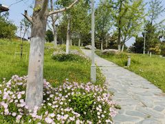 -桃花岛公园