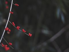 -北京宽沟会议中心