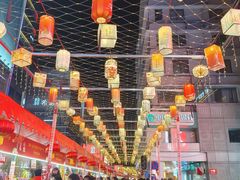 -越秀西湖花市(广州城市广场花卉店)