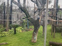 -武汉动物园