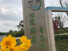 -盐城丹顶鹤湿地生态旅游区